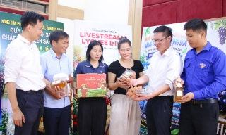 Bắc Ninh: Ứng dụng AI quảng bá vải thiều và sản phẩm OCOP